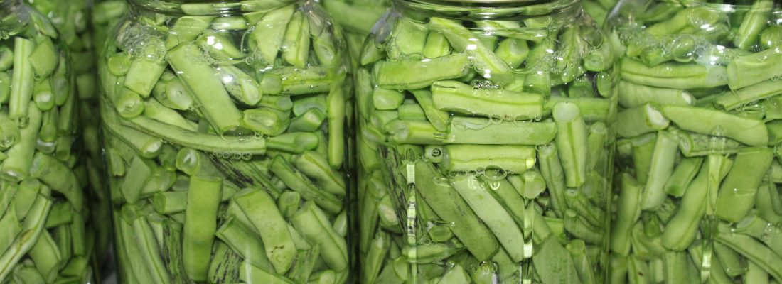 Snapbeans