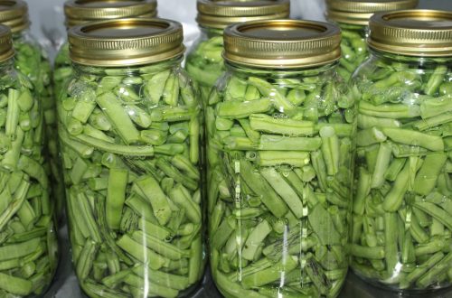 Canning Snapbeans  