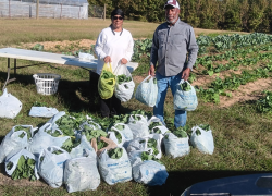 WCSHC Harvested Greens