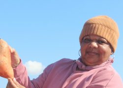 Interested in a Community Garden?