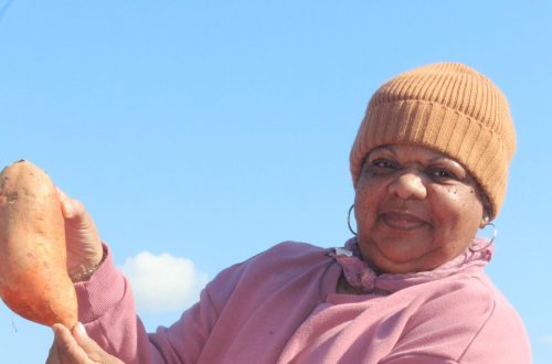 Interested in a Community Garden?