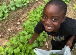 Greensboro Youth Group Fall Gardening Project