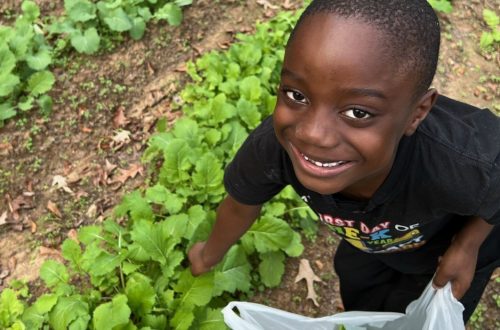 Greensboro Youth Group Fall Gardening Project