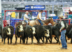 Cattle Con 2026 Nashville, Tenn