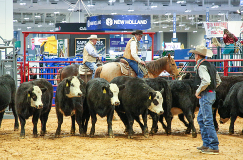 Cattle Con 2026 Nashville, Tenn