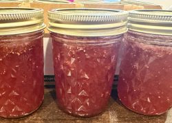 Making Jam: Class is in Session