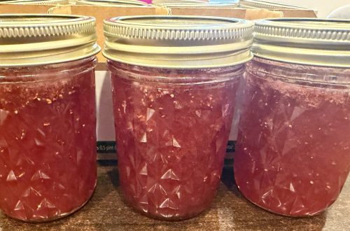 Making Jam: Class is in Session