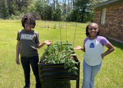 Odom Family Garden