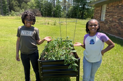 Odom Family Garden