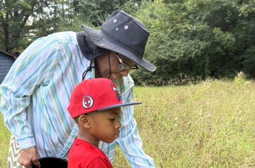 Home Training in Rural America