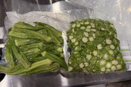 Okra Freezing Workshop: Winston County Self-Help Cooperative